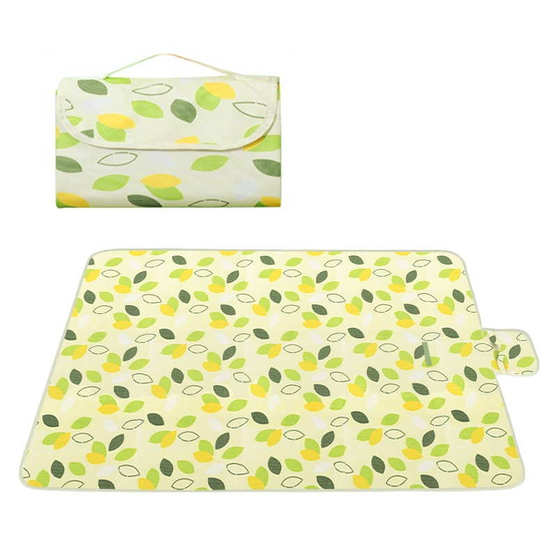 200x200cm Extra Large Picnic M - đánh giá và giá Outdoor Camping Mat